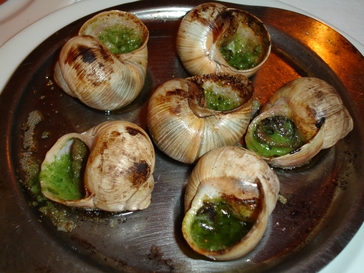 20250106-escargot.jpg